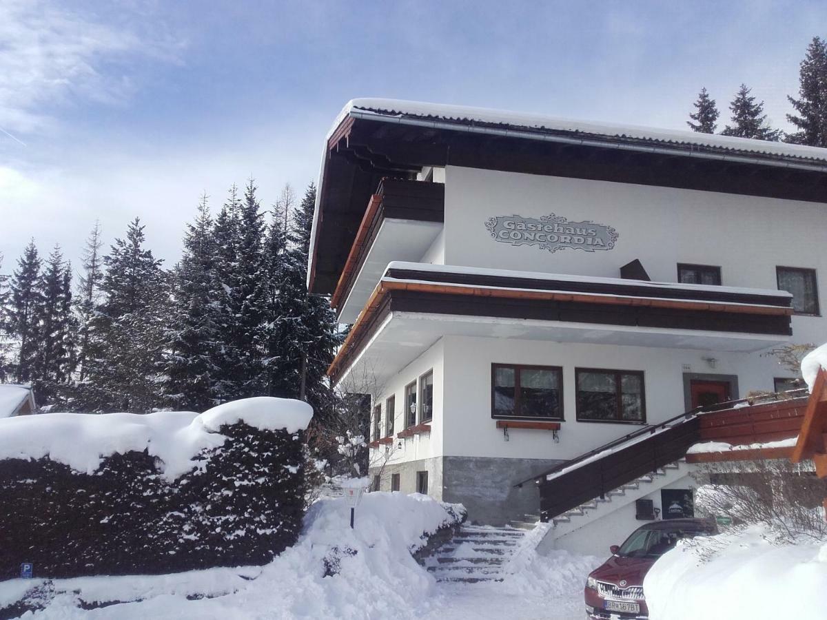 Pension Concordia Ramsau am Dachstein Zewnętrze zdjęcie