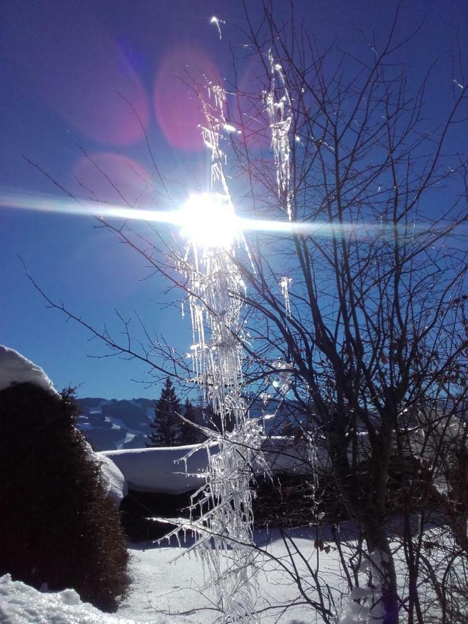 Pension Concordia Ramsau am Dachstein Zewnętrze zdjęcie