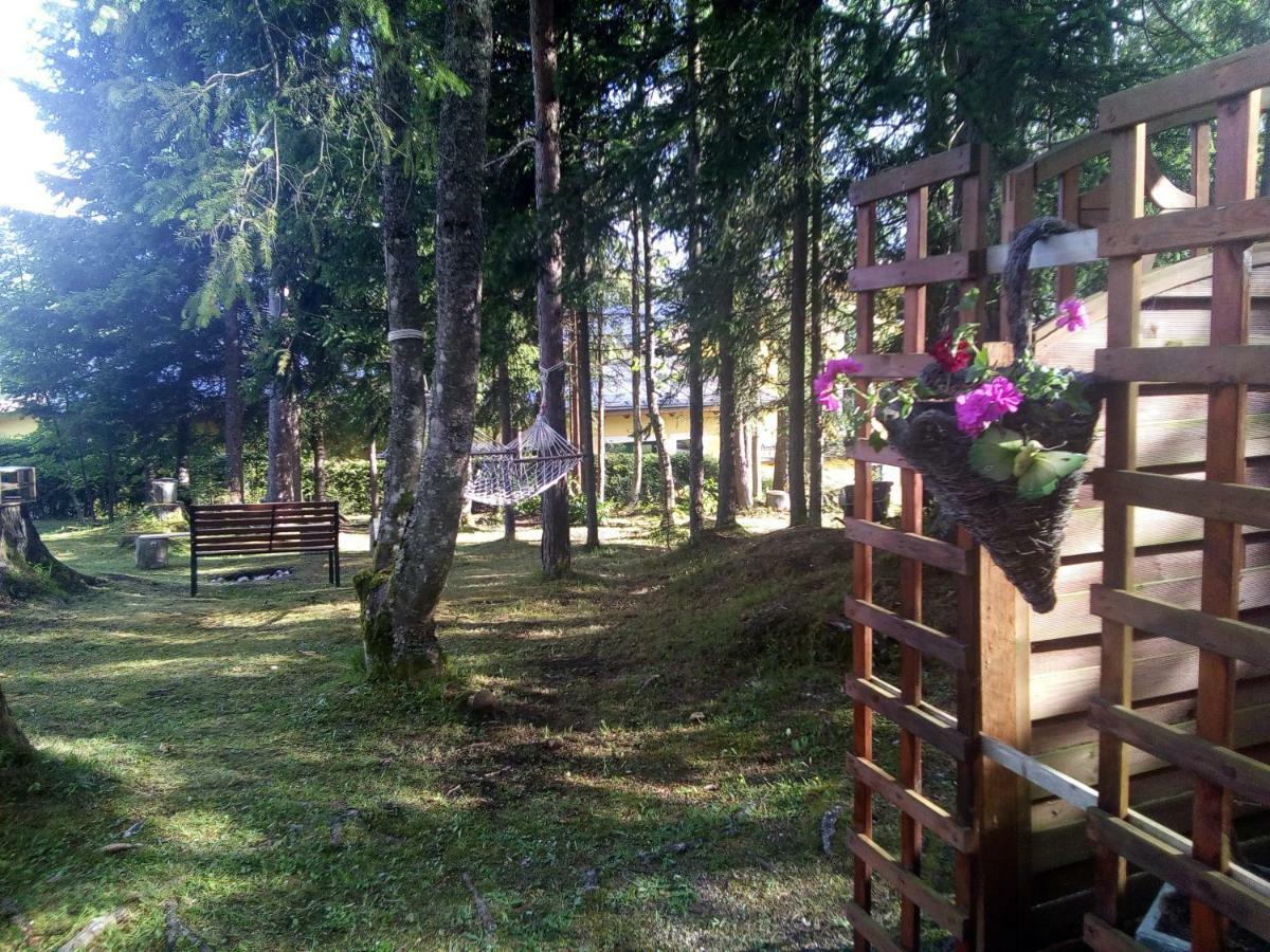 Pension Concordia Ramsau am Dachstein Zewnętrze zdjęcie